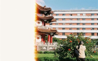 电视剧完整版情感剧情介绍（情感电视剧继续播放）
