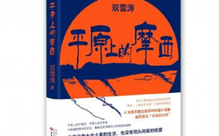 平原上的摩西-电视剧百度云完整版 百度网盘链接