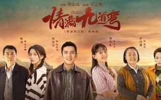 （情满九道弯）百度云（hd高清）网盘【1280P中字】完整资源已分享