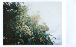 风筝31集剧情剧情介绍（风筝31集剧情剧情介绍视频）