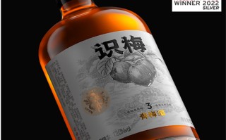 潜伏续集剧情介绍分集介绍（潜伏的续集）