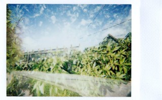 《七夜雪》-全集百度云完整版 百度网盘链接