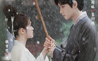 《择君记》-全集百度云BD1024p/1080p/Mp4」资源分享