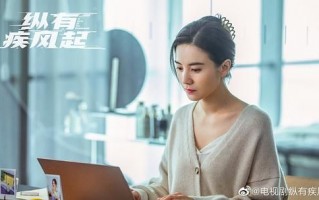 《纵有疾风起》全集网盘资源【HD1080P资源】