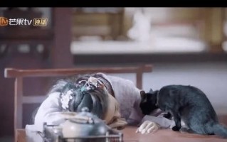 《百灵潭》-全集百度云网盘完整下载
