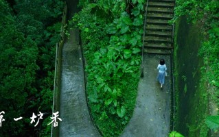 《第一炉香》百度云高清网盘【资源分享】
