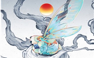 奇葩火线第二期介绍剧情（奇葩火线第二期介绍剧情是什么）