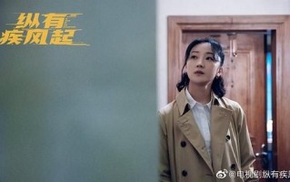 《纵有疾风起》全集-电视剧百度云网盘【1080P已更新】中字资源已完结