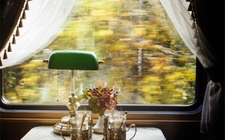 东宫剧情演员介绍（电视剧东宫主演是谁）