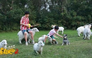 （东北告别天团2）电影百度云【1080p网盘资源分享】