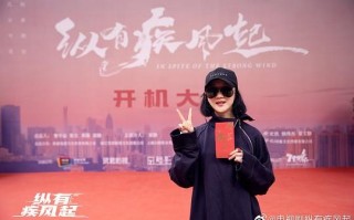 《纵有疾风起》全集网盘高清资源