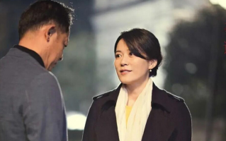 《风雨送春归》全集网盘完整版 百度网盘链接