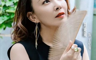 《不惑之旅》全集电视剧百度云【1280P网盘共享】超清晰画质