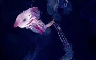 深海-电影百度云无删减【完整HD1080p/MP4中字】云网盘