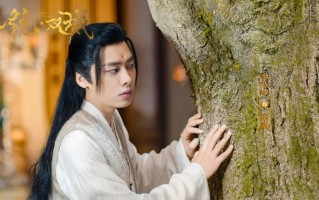 （镜·双城）在线观看免费完整高清版百度云资源(手机版)