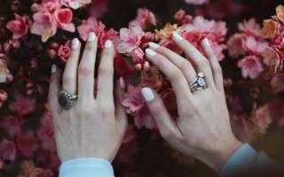 《不会恋爱的我们》全集在线观看完整版高清电视剧【免费高清版】最新