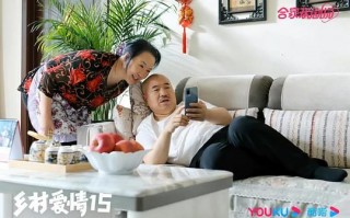 乡村爱情15-电影超清完整观看版观看1080p