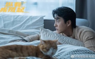 纵有疾风起-电影超清完整观看版观看1080p