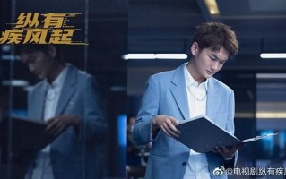 纵有疾风起-电视剧百度云完整版 百度网盘链接